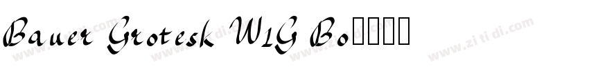 Bauer Grotesk W1G Bo字体转换